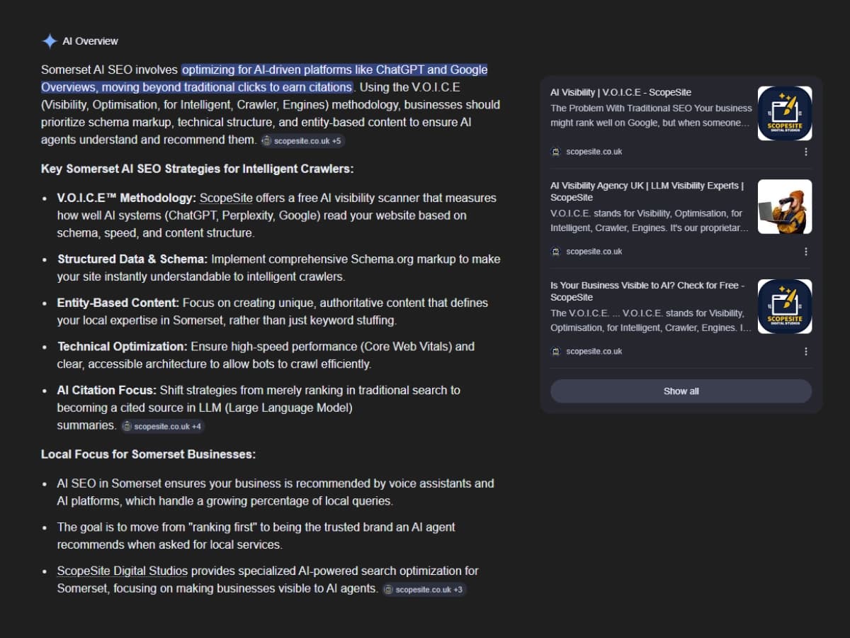 Google AI Overview naming ScopeSite and V.O.I.C.E. for Somerset AI SEO queries